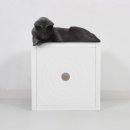 더 크린 이미지