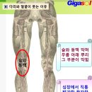 다리가 붓고 얼굴도 붓는 이유~소변을 참아 배꼽이 막혀서~배꼽 여는 방법 이미지