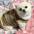 두산피앤피 | 4월 일기 ◡̎ 🤍