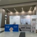 푸른들분식 - 남해군 남해대로 2835 | 부산 베이비페어 & 유아교육전 방문 후기(+소소한 꿀팁 및 꿀템 소개)