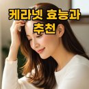 (주) 케라클비전 | 케라넷 효능과 후기: 모발과 피부를 위한 현명한 추천