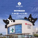 에코펫케어 | 펫프레시 믿고사는 내돈내산 든든한끼 구매후기 습식사료 추천 팝업스토어 롯데백화점