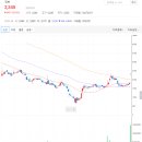 (주)피앤비 인터내셔널 이미지