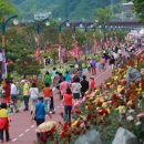 장미1길 이미지