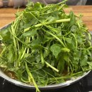 등촌샤브칼국수 양재매헌점 이미지