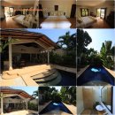 에버그린여행사 이미지