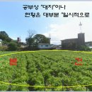 한반도면-3 이미지