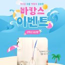 도그팡 이미지