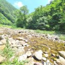 고수족구장 이미지