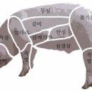 고기랑 이미지