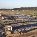 용전농장 이미지