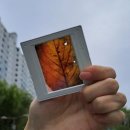 죽전1동 주민센터 이미지