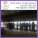 일신무역 Daum카페