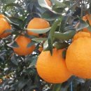 창민농장 이미지