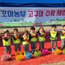 거제시농업개발원 이미지