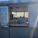 파란바다약국 | &lt;부산 이색바다 여행ㅡ부산 팬스타원나잇 크루즈 후기&gt;부산 크루즈 이색여행/부산 부모님과 여행/부산...