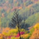 한아름농장 이미지