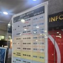 왕초보 수린이의 평일 수영 강습 후기 ① (명지 레포츠센터, 성인 수영초보, 수영 준비물)