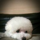 기다리다 이미지