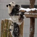 헤어담소 이미지