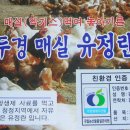 두경 이미지