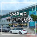 [마곡실내배드민턴장] 서울 실내배드민턴장 추천 BFC 배드민턴대회 / 내돈내산