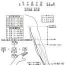 [手少陰心經流注][수소음심경유주] 이미지