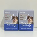 내사랑 강아지 | 베들링턴테리어 닥터독 베츠초이스 뉴트리션 J+ 노견 강아지 관절영양제 후기