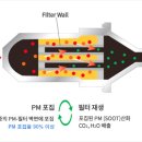 유력오일