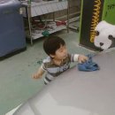 아빠세차장 이미지