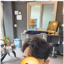 진주헤어샵 - 안양시 만안구 | 진주헤어샵