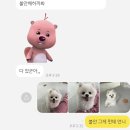 미리쓰는 주간일기