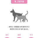 그린동물약국 이미지