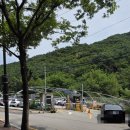 예술공원 주차장 공중화장실 | 안양유원지 계곡 강아지 동반 후기 | 강아지 수영 주차 화장실
