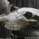 연세굿데이치과의원