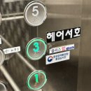 서호 | 하남 뿌리펌 추천 헤어서호 신동진 원장님 후기