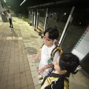 피노호텔 | 삼천오백만년동안 어떻게 지내셨나요