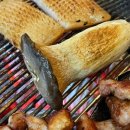 하대동266 이미지