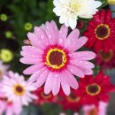 치유의 숲 주차장 화장실 이미지