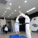 아리솔태권도장 이미지