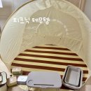 내돈내산 봄맞이 테무후기(피크닉텐트, 도시락통 등등)Temu추천템