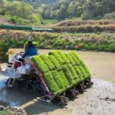 동면농업협동조합 이미지