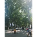 제남도서관 | [여행기록] 제남 산동대학교 교환학생 9월일상 #1