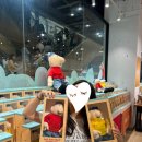 삼정에코 | 부산 서면 삼정타워 1층 패트와매트 팝업 스토어 후기