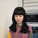 모델헤어타운