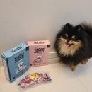 댕댕포유 이미지