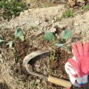 정민수농장 이미지