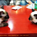 시지동물병원 이미지