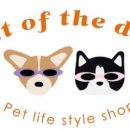 펫더데이 이미지