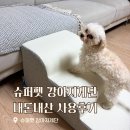 달강아지 | 말티푸 쇼파용 3단 강아지계단 추천 한 달 써본 내돈내산 후기